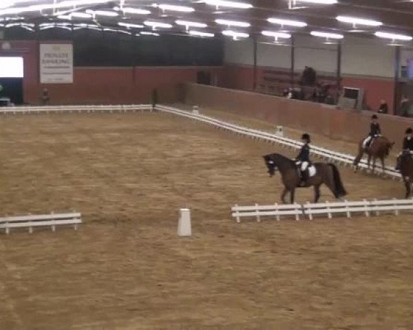 Junior Open 2012