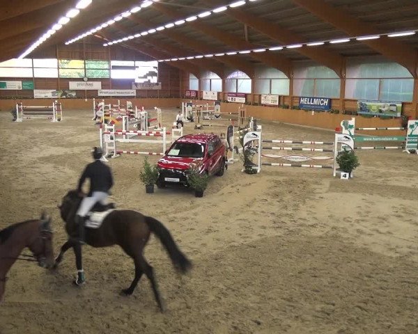 Springturnier Xanten - Reitanlage Miss 2021