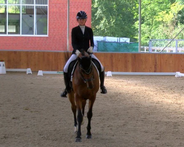 Reitturnier Langenfeld 2024