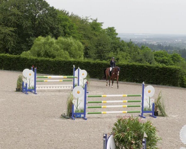 Reitturnier Margarethenhof / Beckingen 2024