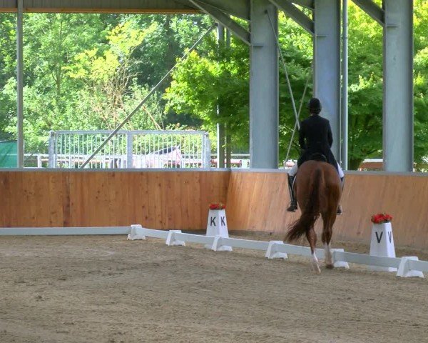 Reitturnier Langenfeld 2024
