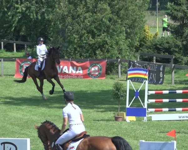 Reitturnier Pennigbüttel 2024