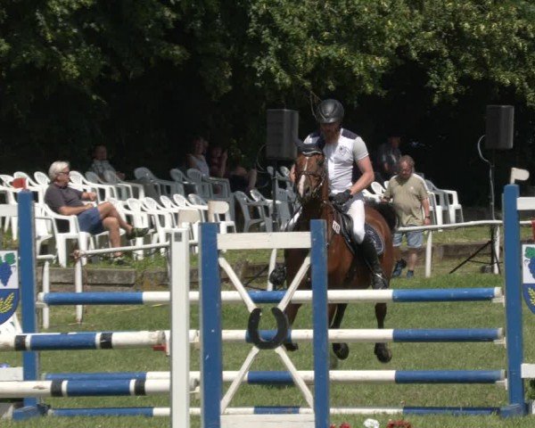 Reitturnier Schwittersdorf-Beesenstedt 2024