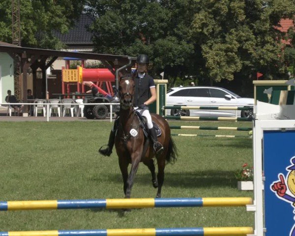 Reitturnier Schwittersdorf-Beesenstedt 2024