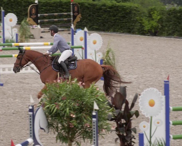 Reitturnier Margarethenhof / Beckingen 2024