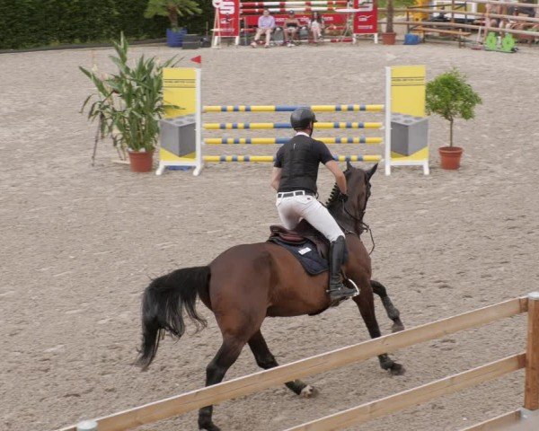 Reitturnier Margarethenhof / Beckingen 2024