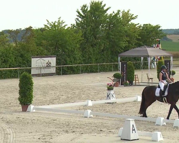 Reitturnier Großbardorf/Ufr. 2024