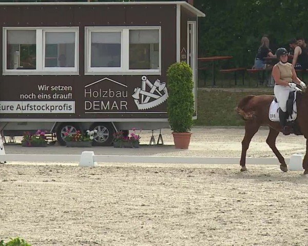 Reitturnier Großbardorf/Ufr. 2024