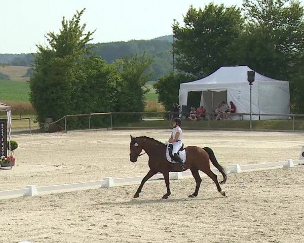 Reitturnier Großbardorf/Ufr. 2024