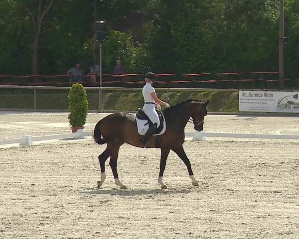 Reitturnier Großbardorf/Ufr. 2024