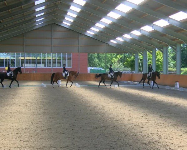 Reitturnier Langenfeld 2024