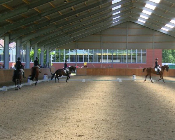 Reitturnier Langenfeld 2024