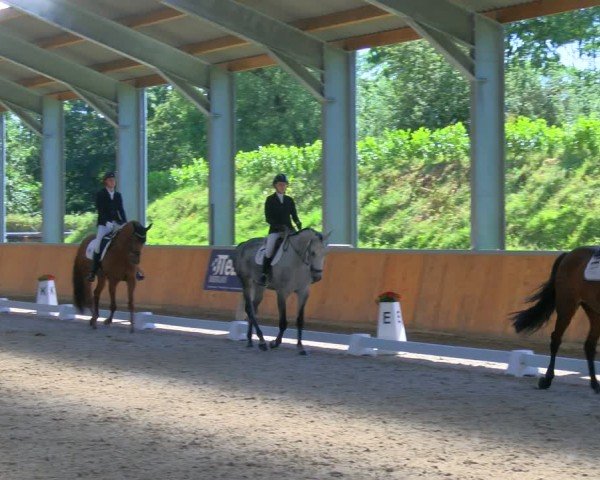 Reitturnier Langenfeld 2024