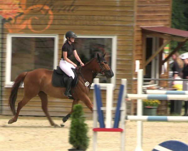 Reitturnier Bad Liebenstein/Sorga 2024