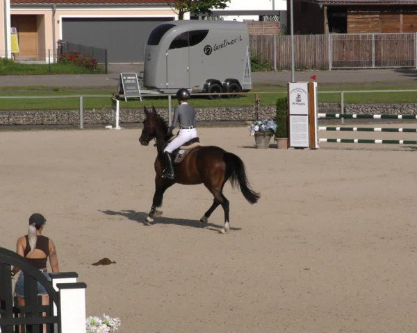 Reitturnier Ingolstadt-Hagau/Obb. 2024
