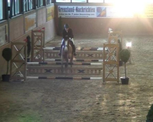 Junior Open 2012