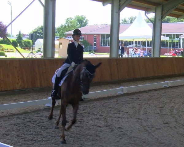Reitturnier Langenfeld 2024
