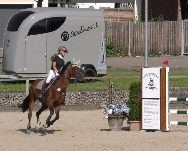Reitturnier Ingolstadt-Hagau/Obb. 2024