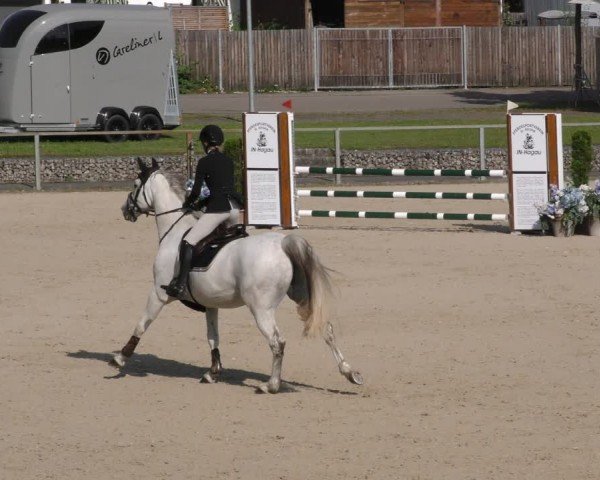 Reitturnier Ingolstadt-Hagau/Obb. 2024