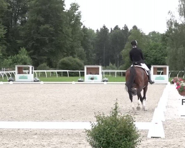 Reitturnier Grüningen 2024