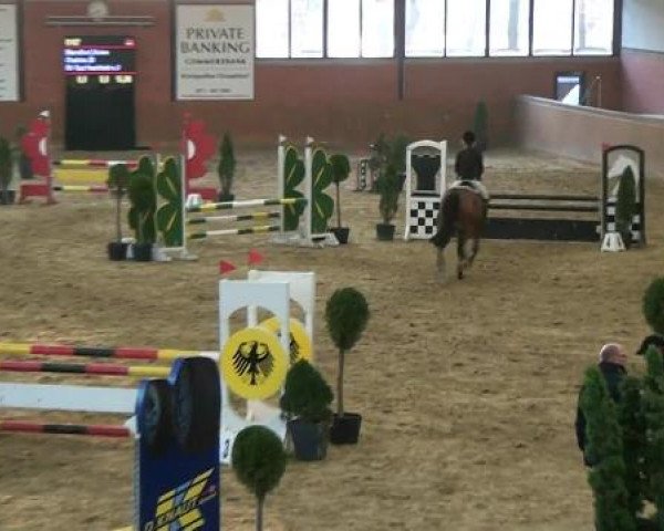 Junior Open 2012