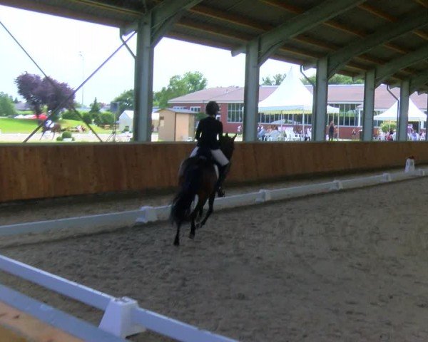 Reitturnier Langenfeld 2024