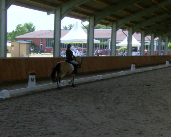 Reitturnier Langenfeld 2024