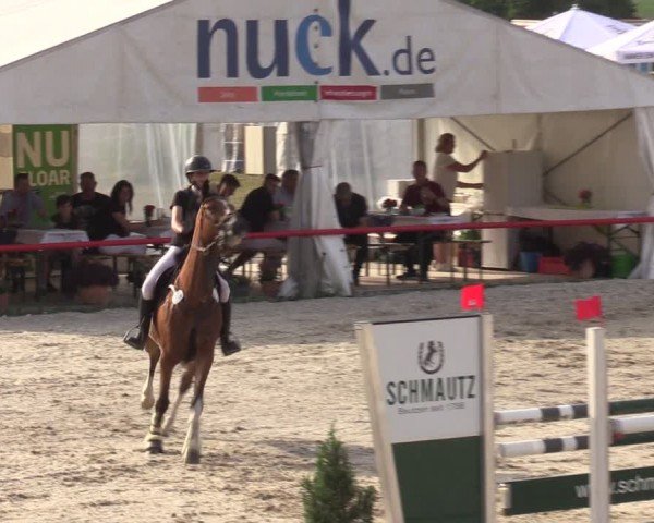 Reitturnier Holschdubrau 2024