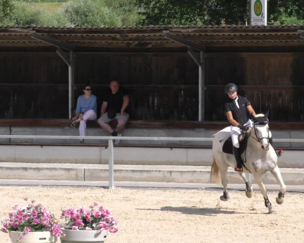 Reitturnier Ingolstadt-Hagau/Obb. 2024