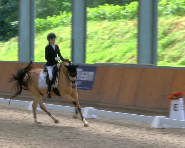 Reitturnier Langenfeld 2024