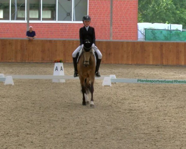 Reitturnier Langenfeld 2024