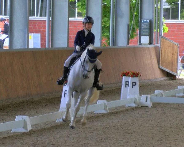 Reitturnier Langenfeld 2024