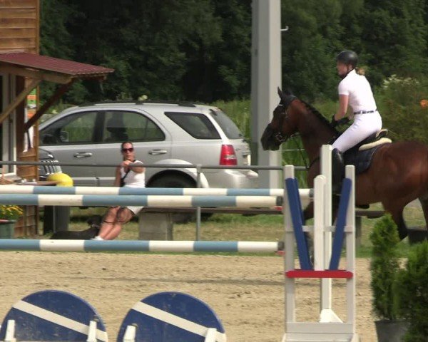 Reitturnier Bad Liebenstein/Sorga 2024