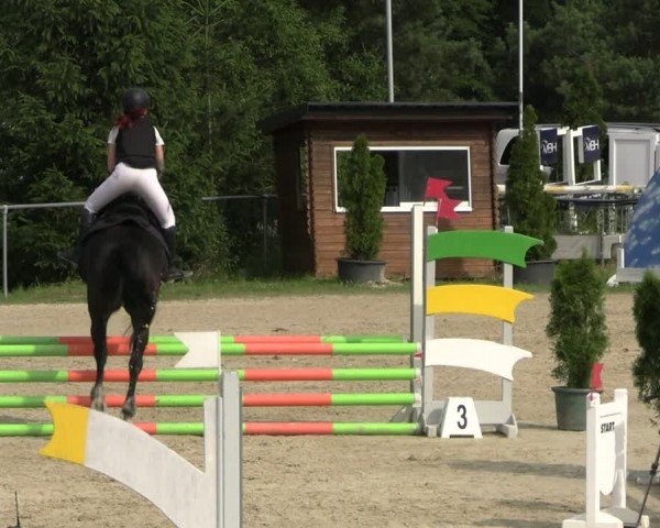 Reitturnier Bad Liebenstein/Sorga 2024