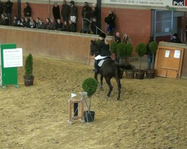 Junior Open 2012
