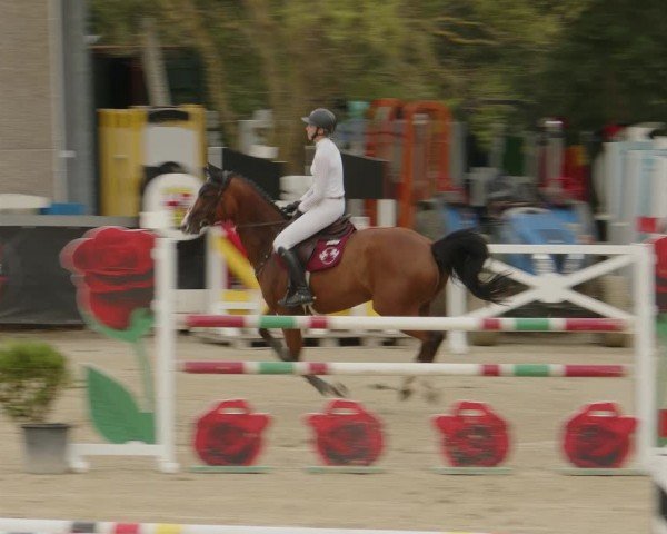 Reitturnier Kalenborn Hegehof 2024