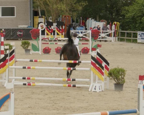 Reitturnier Kalenborn Hegehof 2024