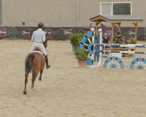 Reitturnier Kalenborn Hegehof 2024