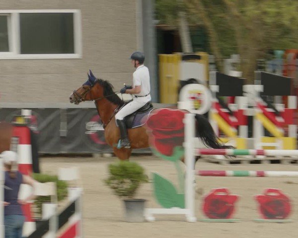 Reitturnier Kalenborn Hegehof 2024