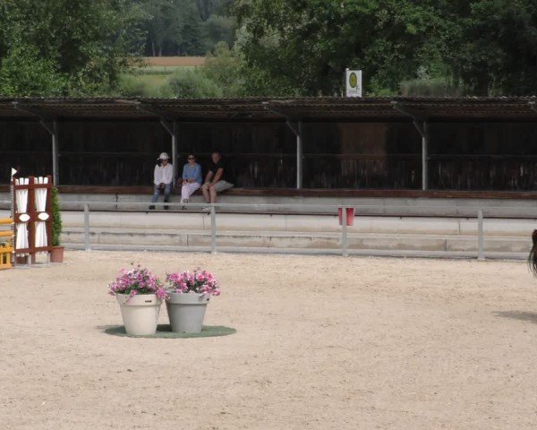 Reitturnier Ingolstadt-Hagau/Obb. 2024