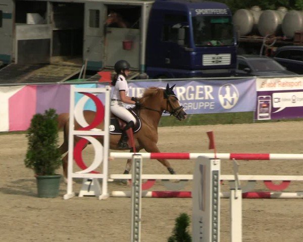 Reitturnier Bad Liebenstein/Sorga 2024