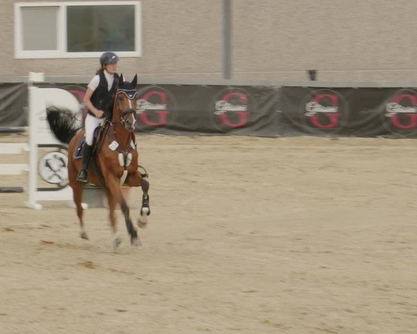 Reitturnier Kalenborn Hegehof 2024