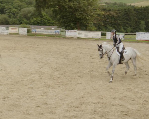 Reitturnier Kalenborn Hegehof 2024