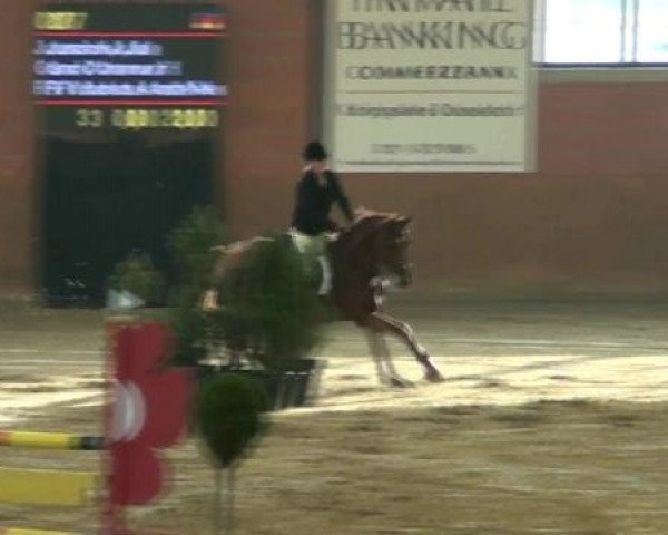 Junior Open 2012