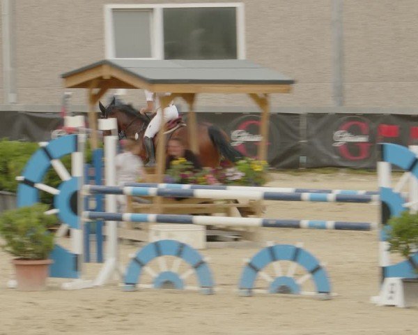 Reitturnier Kalenborn Hegehof 2024