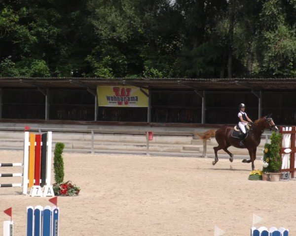 Reitturnier Ingolstadt-Hagau/Obb. 2024