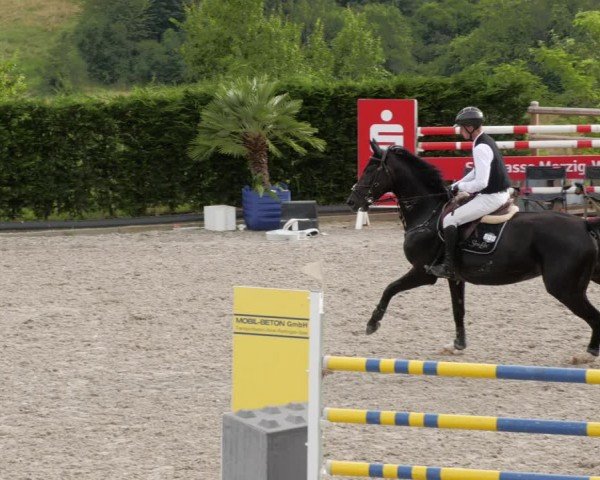 Reitturnier Margarethenhof / Beckingen 2024