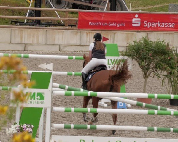 Reitturnier Margarethenhof / Beckingen 2024
