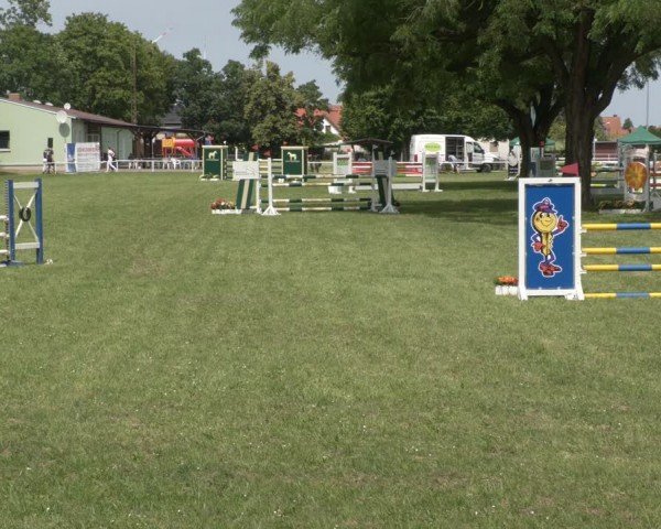 Reitturnier Schwittersdorf-Beesenstedt 2024
