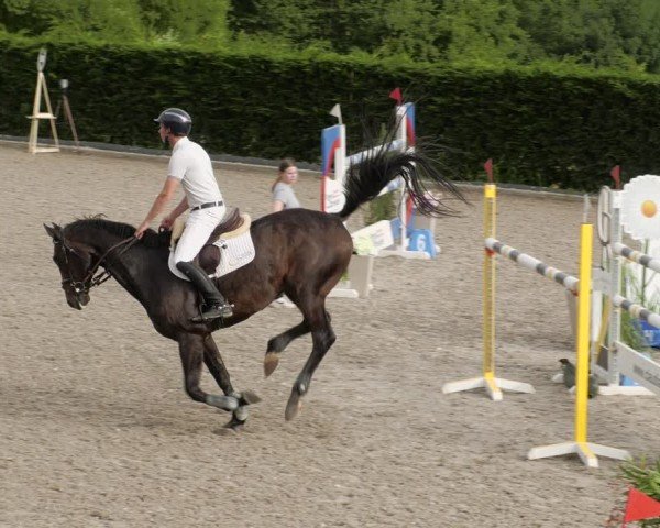 Reitturnier Margarethenhof / Beckingen 2024